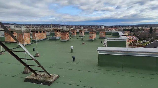 Zöld bitumenes lapostető téglakéményekkel és támasztott létrával